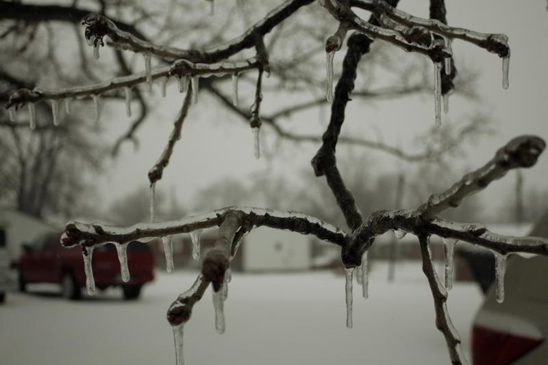"2/1/11 ice storm"