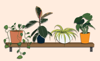 Houseplant graphic