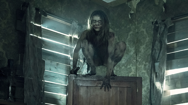 image of The Walking Dead