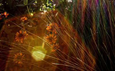 featured image