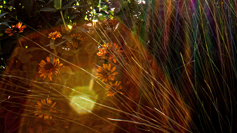 featured image