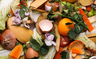 food waste