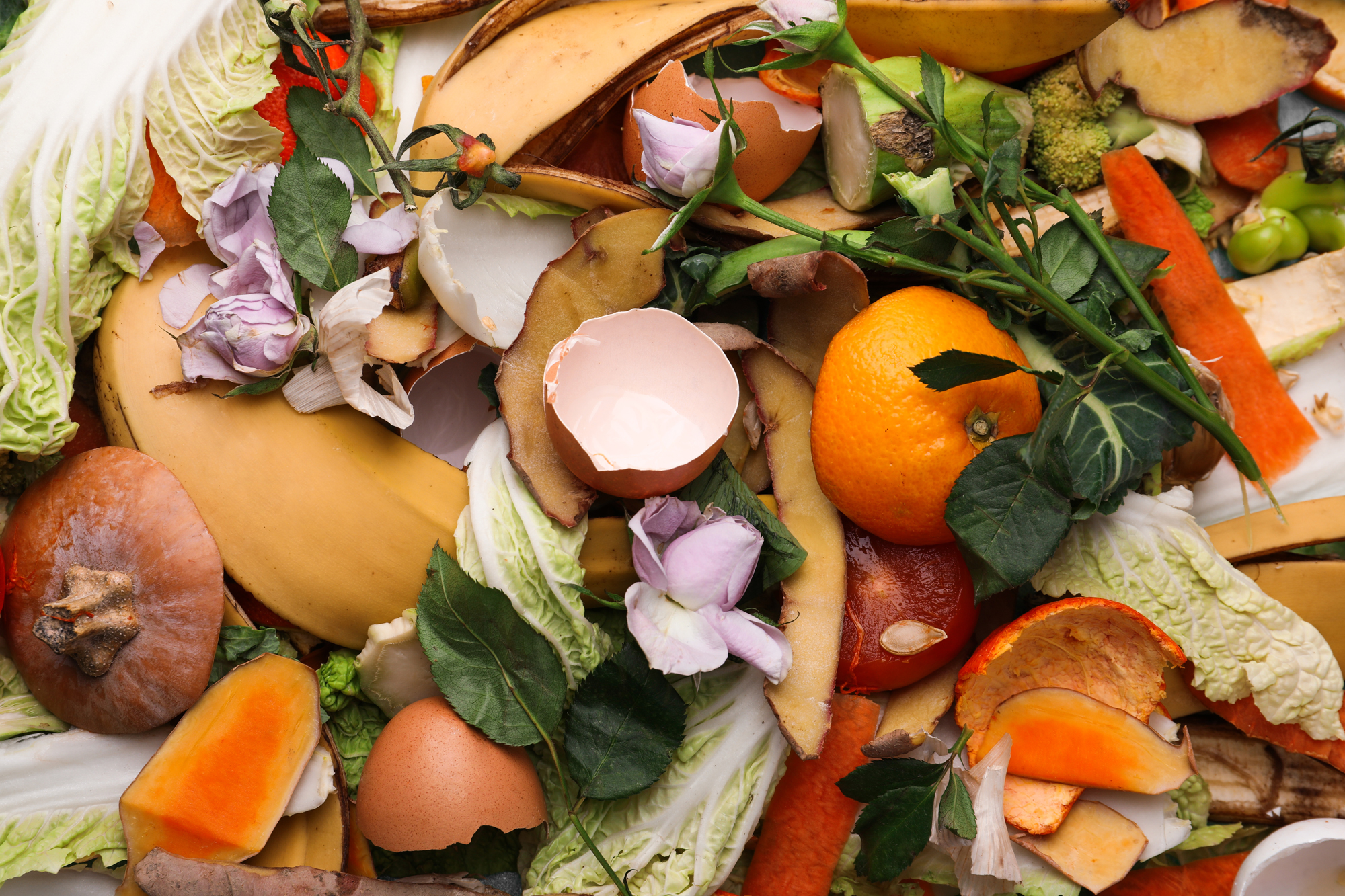 food waste