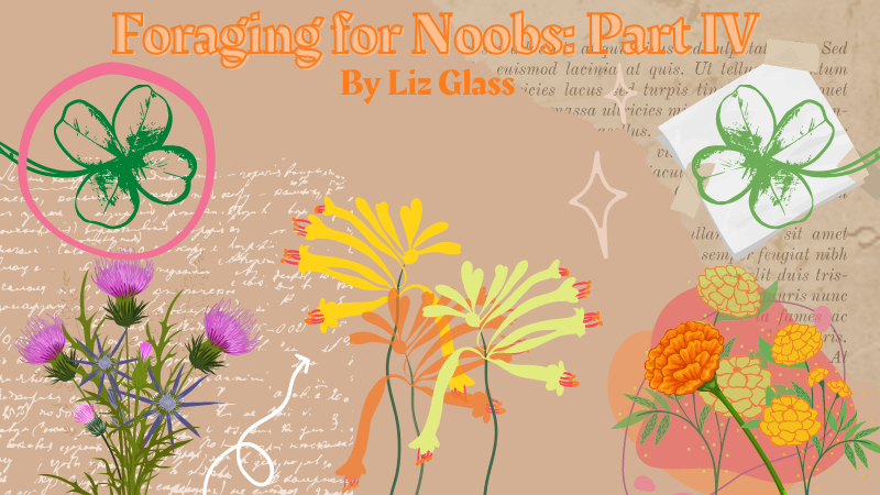 Foraging