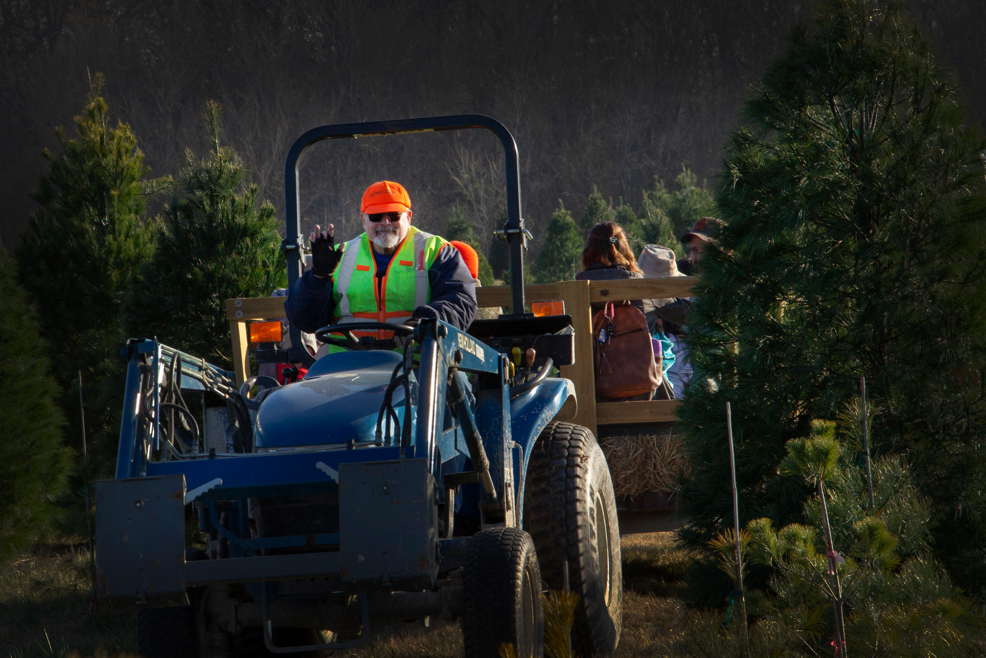 Tractor driver waves at photographer while taking people for a ride.