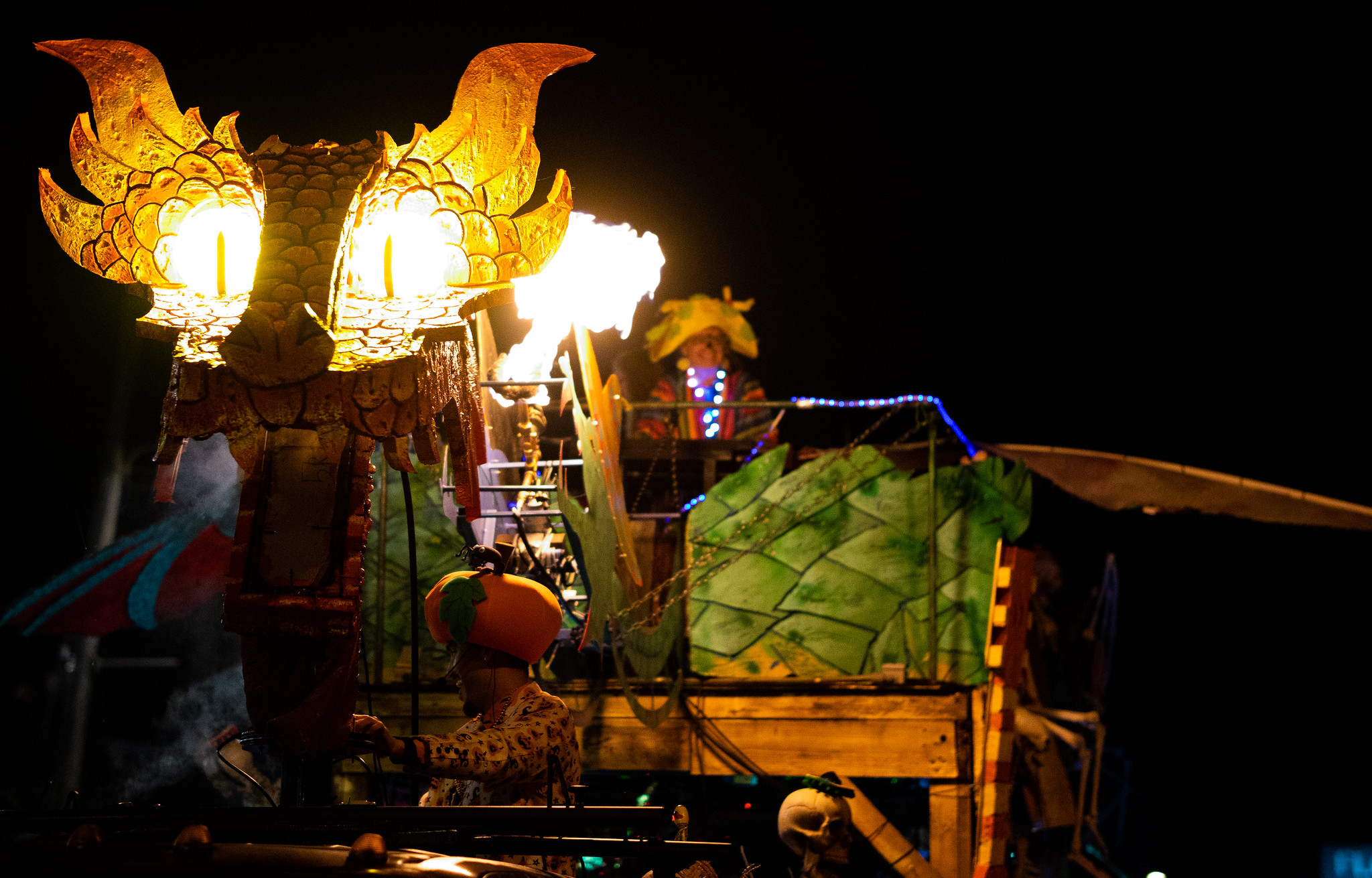 Picture of Dragon Float