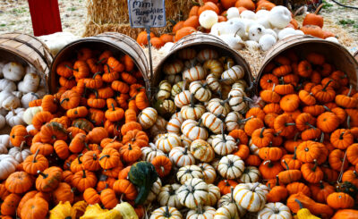 Picture of mini pumpkins set up for kids to take home.
