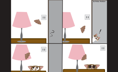 Cat and Moth cartoon