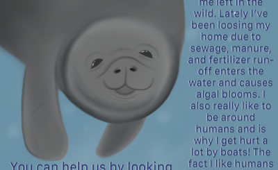 Manuel Manatee Graphic