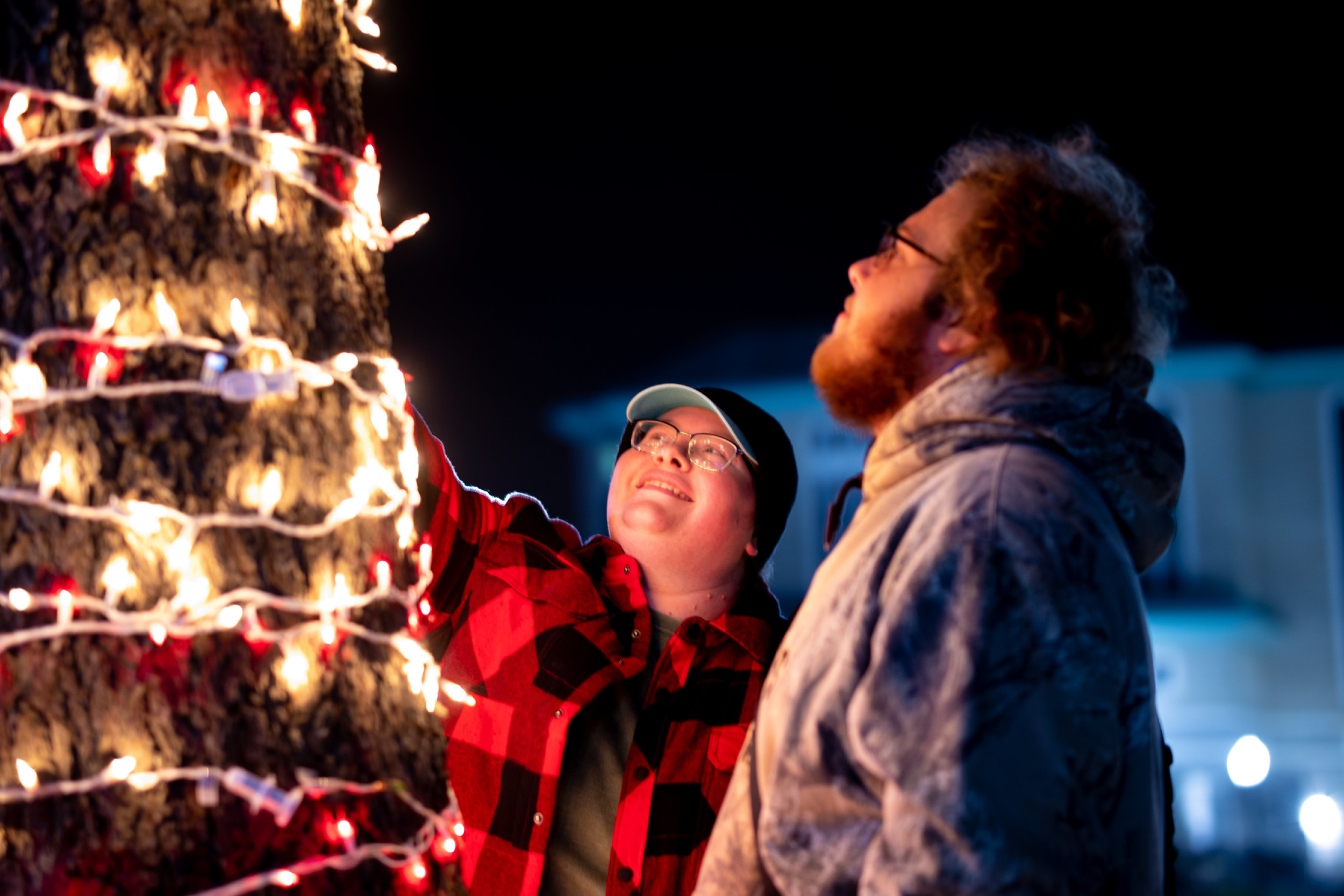 Tree Admirers