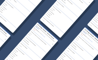 Website Opinion Survey Cover Image