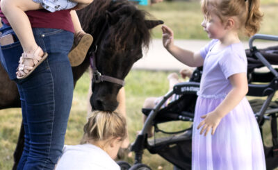 Girl petting horse