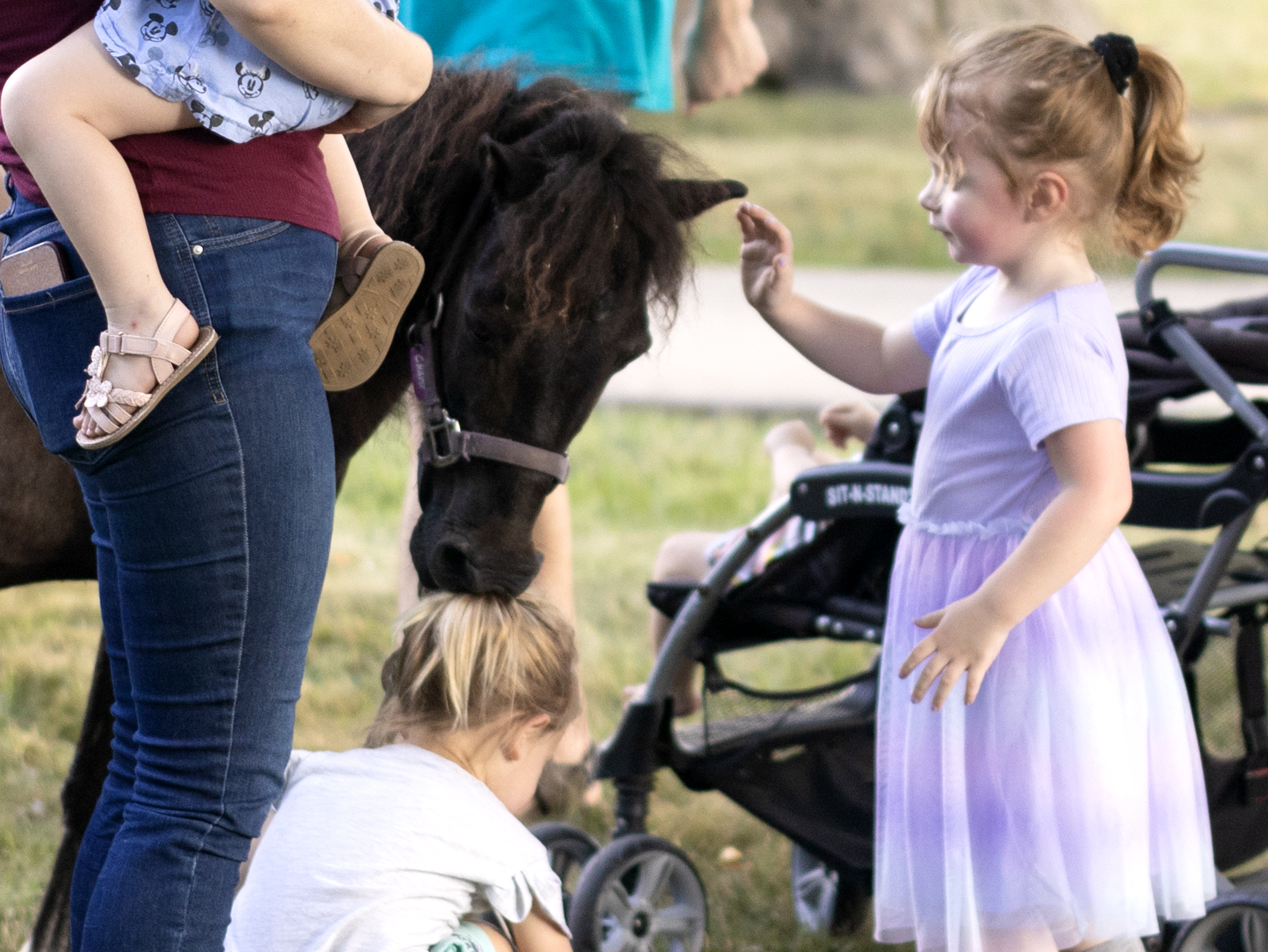 Girl petting horse